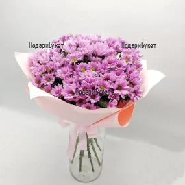 Send bouquet of pink chrysanthemums to Ruse, Haskovo, Pleven, Varna