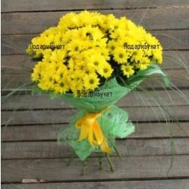 Send bouquet of yellow chrysanthemums to Sofia, Plovdiv, Varna, Burgas