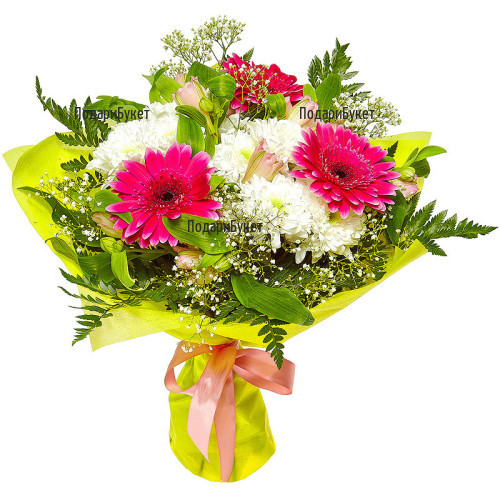Send flowers and bouquet of chrysanthemums and gerberas to Sofia, Plovdiv