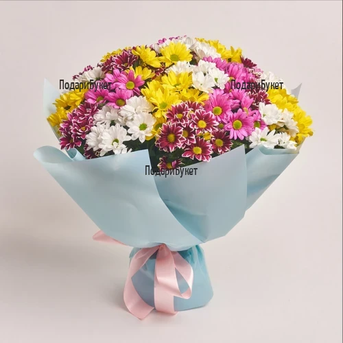 Send bouquet of chrysanthemums to Ruse, Haskovo, Vidin, Gabrovo