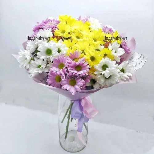 Send vibrant bouquet of chrysanthemums to Sofia, Plovdiv, Varna, Burgas