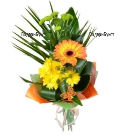 Order online flowers and bouquets of gerberas.