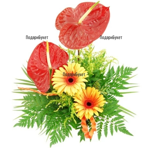 Send exotic bouquet of gerberas and anthuriums