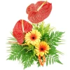 Send exotic bouquet of gerberas and anthuriums