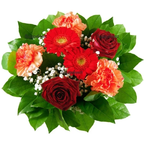 Send bouquet of carnations and roses to Sofia, Plovdiv, Varna, Burgas