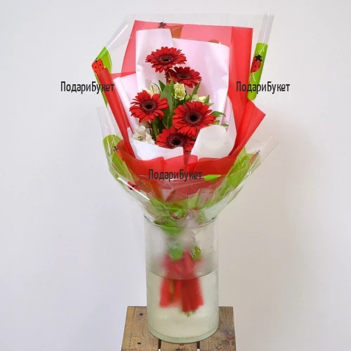 Send stylish bouquet of gerberas to Sofia, Plovdiv, Varna, Burgas