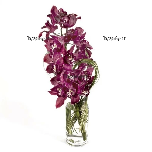 Доставка на цветя - букет от орхидея Цимбидиум в София