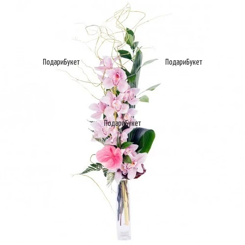 Flower delivery - bouquet of pink Cymbidium orchid to Sofia
