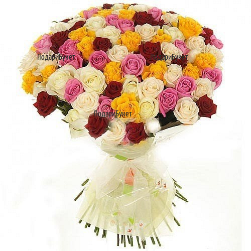 Send 101 multicoloured roses to Sofia, Plovdiv, Varna, Burgas