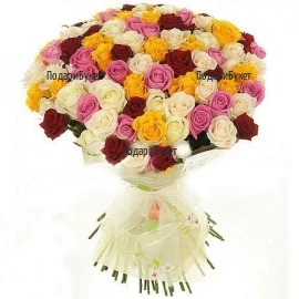 Send 101 multicoloured roses to Sofia, Plovdiv, Varna, Burgas