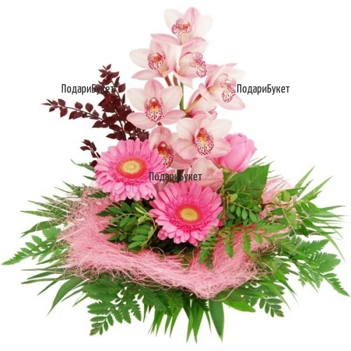 Order online flowers and bouquets of orchids