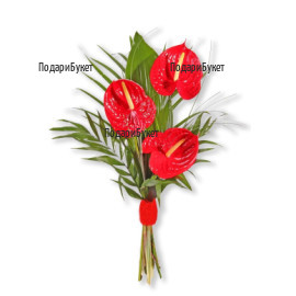Order flowers and bouquets of anthuriums to Sofia, Plovdiv, Varna, Burgas