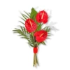 Order flowers and bouquets of anthuriums to Sofia, Plovdiv, Varna, Burgas
