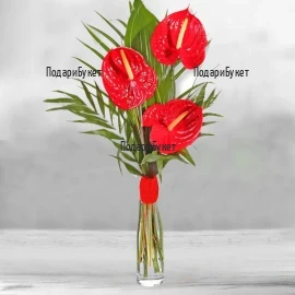 Order flowers and bouquets of anthuriums to Sofia, Plovdiv, Varna, Burgas