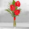 Order flowers and bouquets of anthuriums to Sofia, Plovdiv, Varna, Burgas