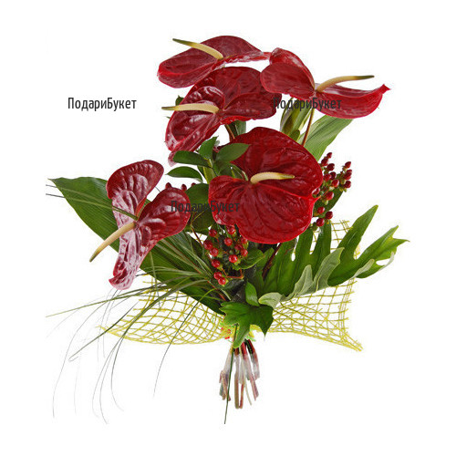 Order online bouquet of anthuriums and greenery.