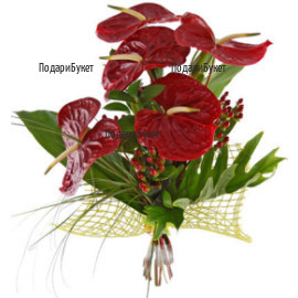 Order online bouquet of anthuriums and greenery.