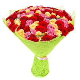 Send 101 roses by courier to Varna, Burgas, Sofia, Plovdiv