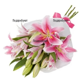Send bouquet of pink lilies to Sofia, Plovdiv, Varna, Burgas