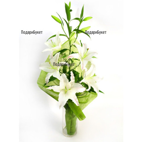 Send bouquet of white lily to Sofia, Plovdiv, Varna, Burgas