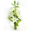 Send bouquet of white lily to Sofia, Plovdiv, Varna, Burgas