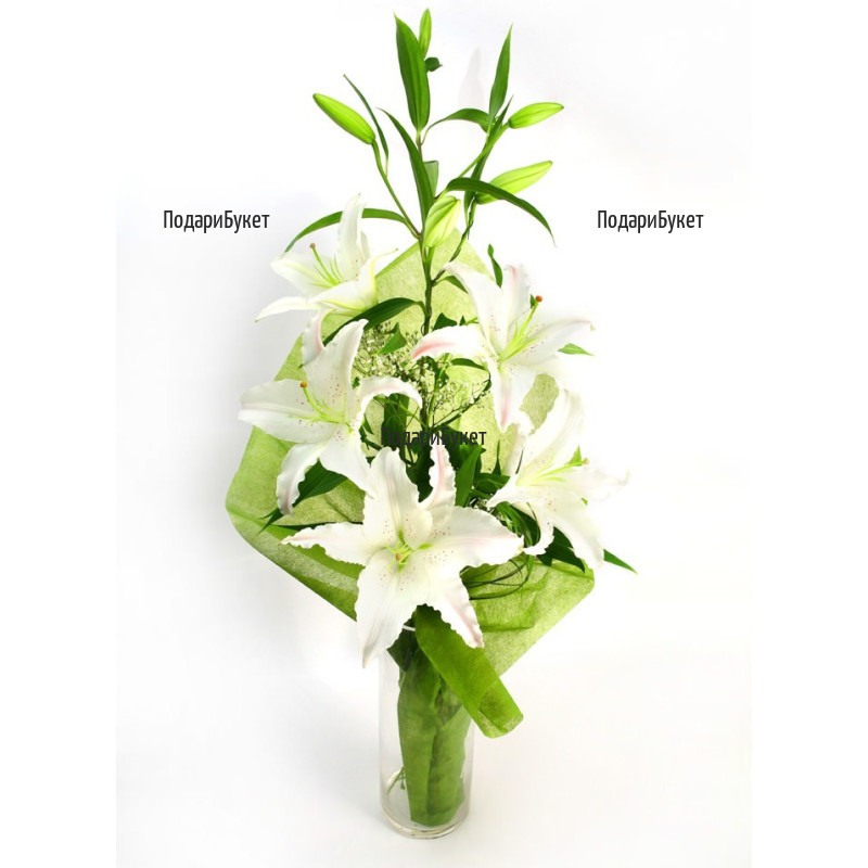 Send bouquet of white lily to Sofia, Plovdiv, Varna, Burgas