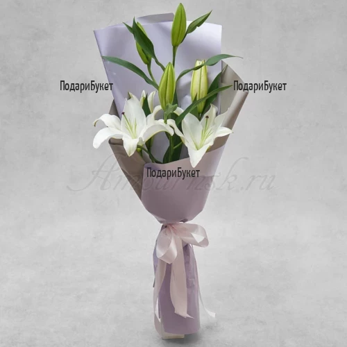 Send bouquet of white lily to Sofia, Plovdiv, Varna, Burgas