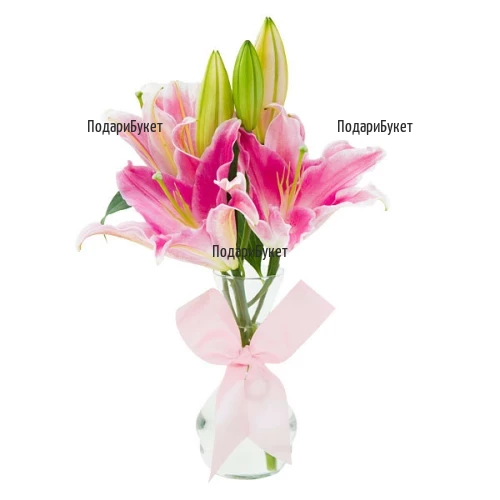 Flower delivery - pink lily in a vase