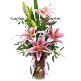 Order and flower delivery - bouquet of pink lilies to Sofia