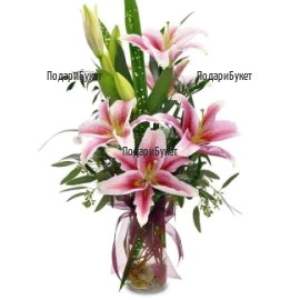 Order and flower delivery - bouquet of pink lilies to Sofia