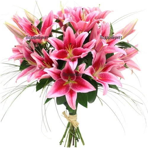 Flower delivery - bouquet of pink lilies to Sofia, Plovdiv, Varna