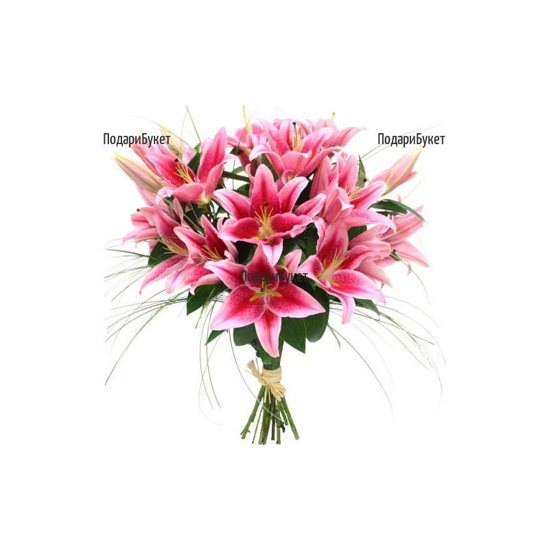 Flower delivery - bouquet of pink lilies to Sofia, Plovdiv, Varna