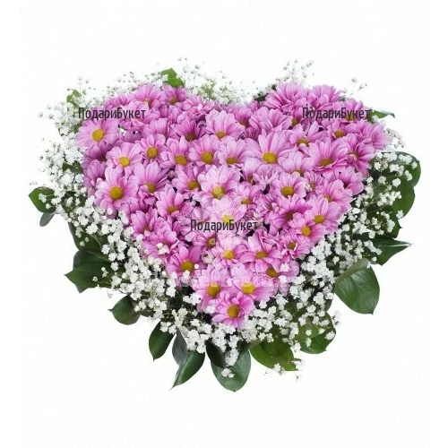 Send hear of pink chrysanthemums to Sofia, Plovdiv, Varna, Burgas