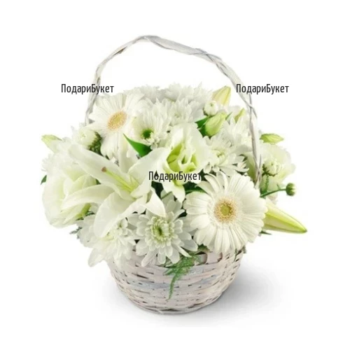 Send a basket with white flowers to Sofia, Plovdiv, Varna, Burgas