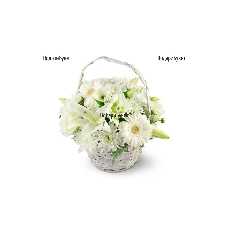 Send a basket with white flowers to Sofia, Plovdiv, Varna, Burgas