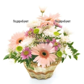 Send flower basket to Ruse, Haskovo, Pleven