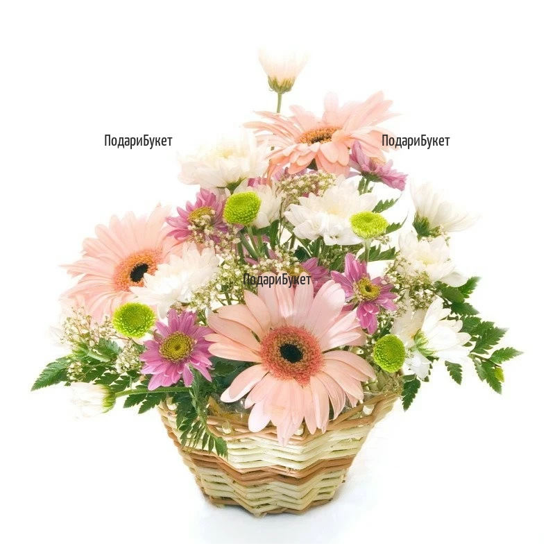 Send flower basket to Ruse, Haskovo, Pleven