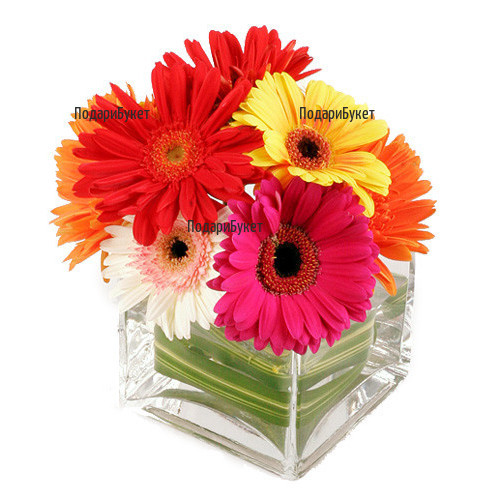Send arrangements with flowers to Sofia, Plovdiv, Varna, Burgas