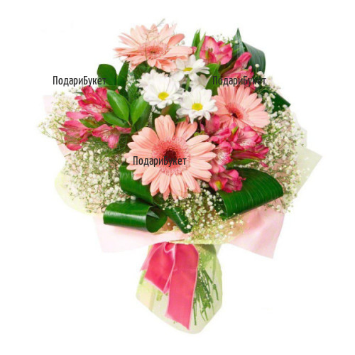 Order online bouquet of gerberas and alstroemerias to Sofia, Plovdiv