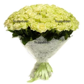 Send 101 white roses to Sofia, Plovdiv, Varna.