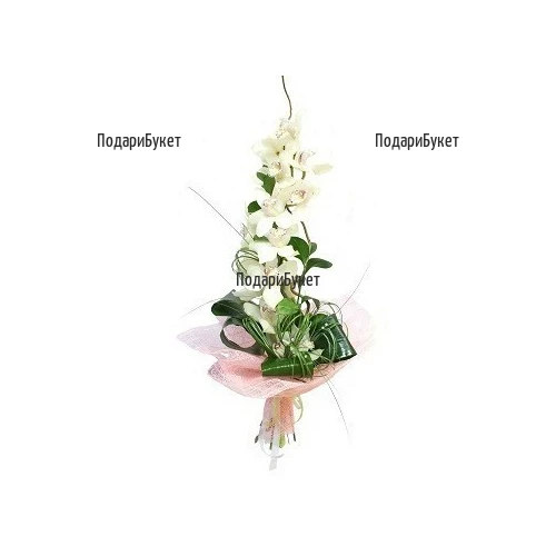 Order bouquet of white orchid to Sofia, Plovdiv, Varna, Burgas
