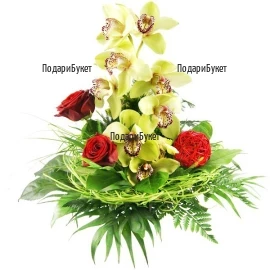 Send a bouquet of Cymbidium orchid and roses to Sofia, Plovdiv and Varna