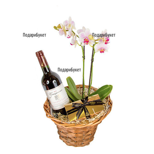Send gift basket with Orchid and red wine to Sofia, Plovdiv, Varna