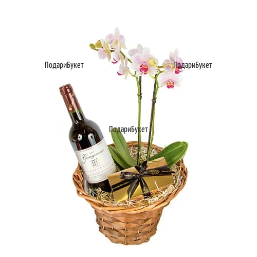 Send gift basket with Orchid and red wine to Sofia, Plovdiv, Varna