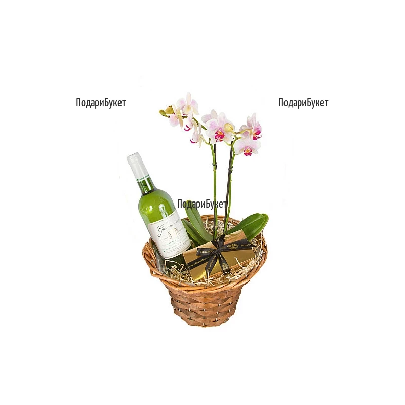 Send basket with orchid, wine and chocolates to Sofia by courier.