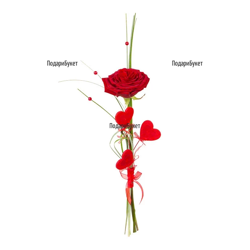 Send one red rose and ornamental hearts to Plovdiv, Varna, Burgas, Sofia