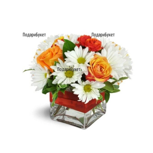 Send arrangement  of roses and chrysanthemums to Sofia, Plovdiv, Varna