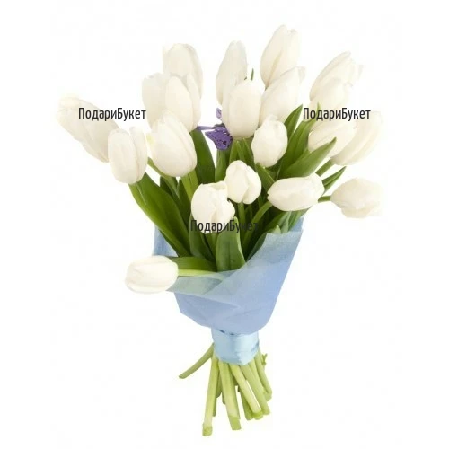 Bouquet of 21 White Tulips