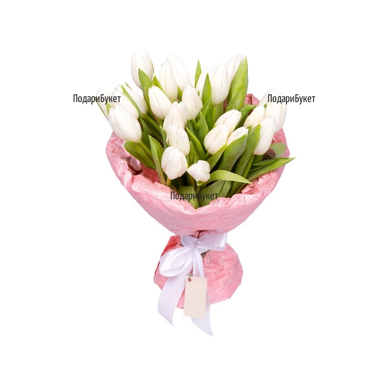 Send bouquet ot white tulips to Sofia, Plovdiv, Varna, Burgas