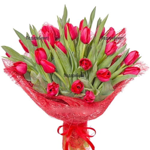 Send bouquet of red tulips to Sofia, Plovdiv, Ruse